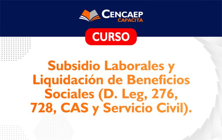 CURSO: Subsidios Laborales y Liquidación de Beneficios Sociales (276, 728, Cas Y Servicio Civil)
